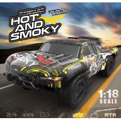 Enoze 9301E 1/18 2.4G 4WD RC Truck.