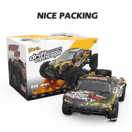 Enoze 9301E RC Car