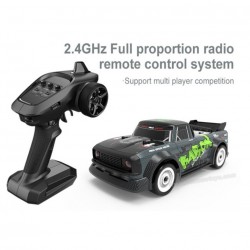 Pinecone Model RC SG-1603