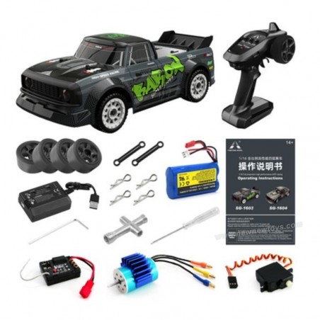 Pinecone Model RC SG-1603