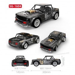 SG 1604 rc car