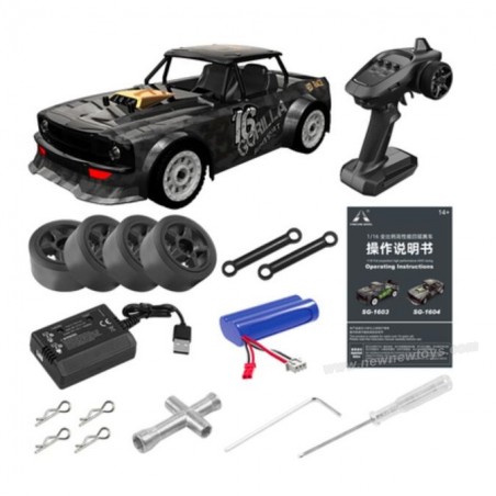 Pinecone Model SG-1604