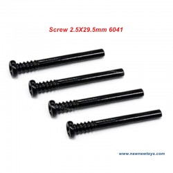 Parts Screw 2.5X29.5mm 6041 For SCY 16101/16102/16103/16201
