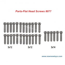 ZD Racing DBX 07 Screw Set 8077-Flat Head Screws