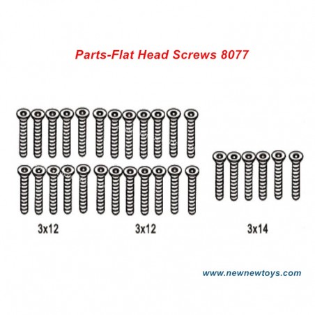 ZD Racing DBX 07 Screw Set 8077-Flat Head Screws