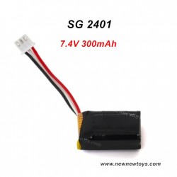 SG 2401 Battery