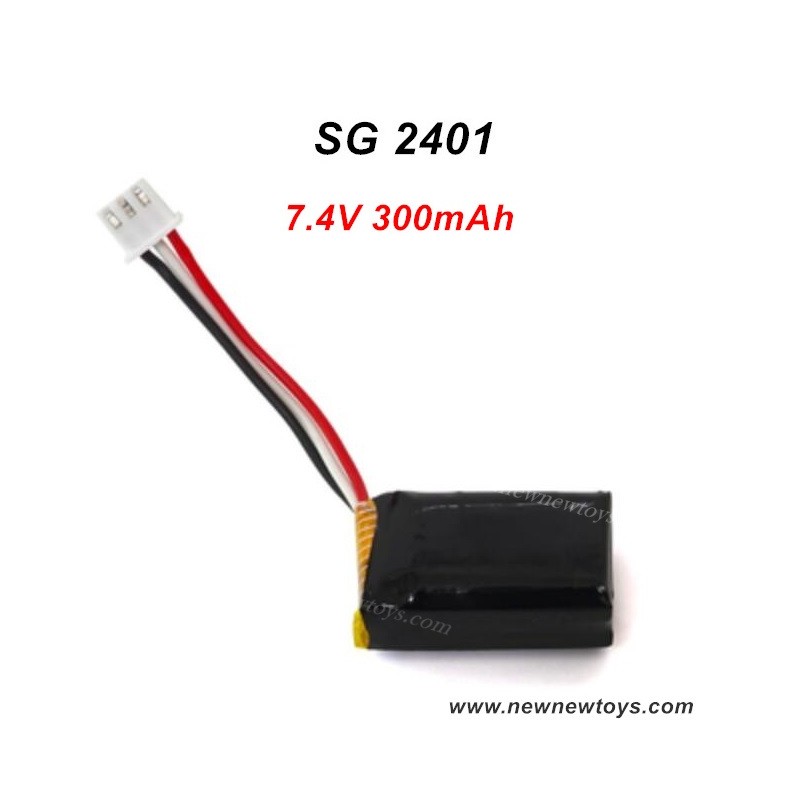 SG 2401 Battery